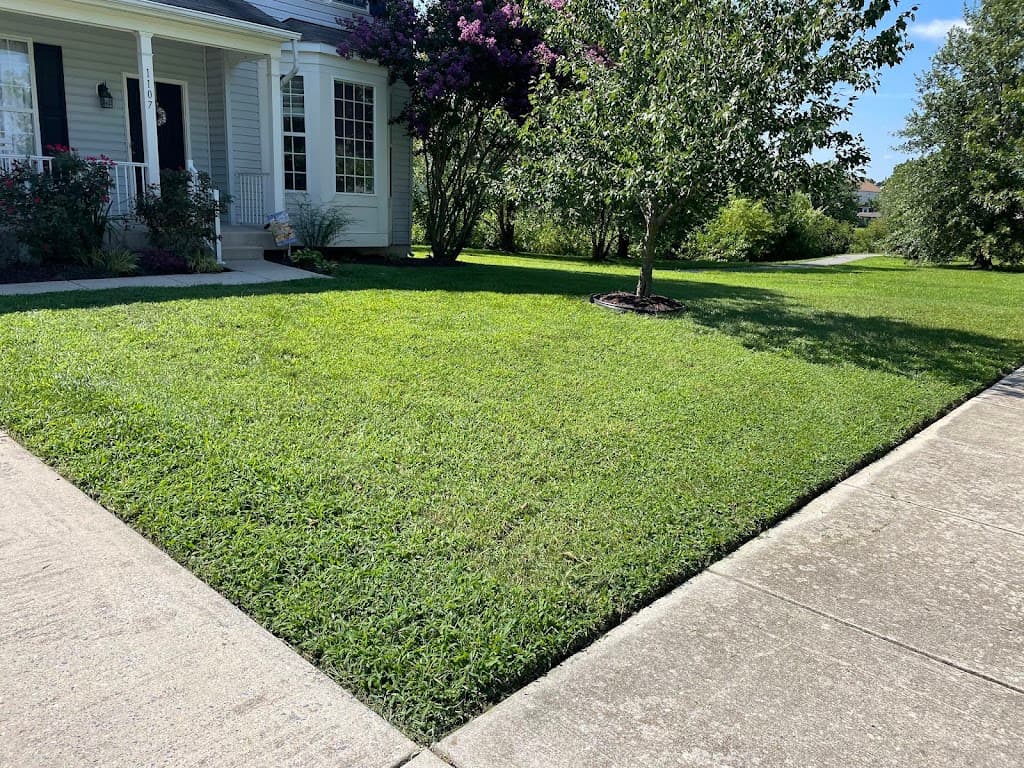 Manicured front yard with flowering crepe myrtle tree and tidy planting bed